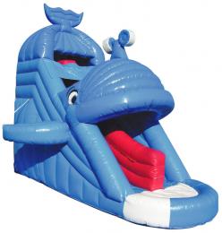 ホエールスライダー